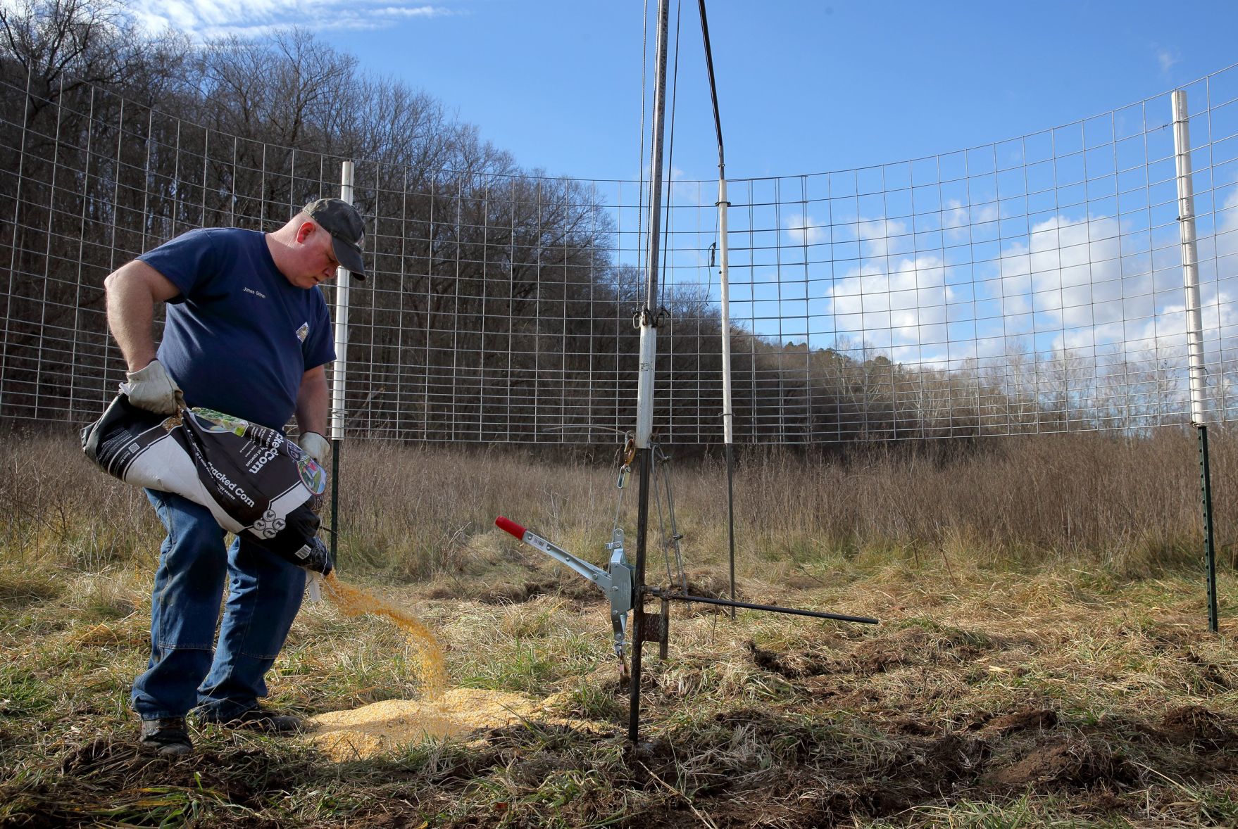 Controlling Missouri's feral hog population